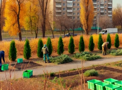 Загадкові ящики і обрізка кущів: як Київ готується до зими
