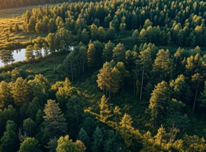 У 2024 році Київщина отримала 23 нові заповідні території: охорона природи на місцевому рівні