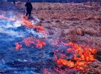 На Київщині затримали палійку сухостою: які штрафи загрожують порушникам