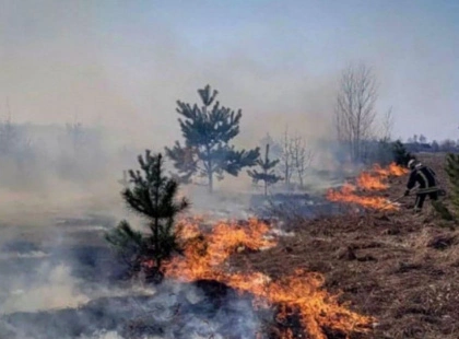 Пожежа через випалювання трави на Київщині: як рятувальники врятували дітей