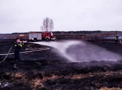 Пожежі на Київщині: боротьба з торф'яними загоряннями триває другу добу