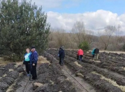 Вражаючий екологічний подвиг: у Студениківці висадили понад 17 тисяч дерев