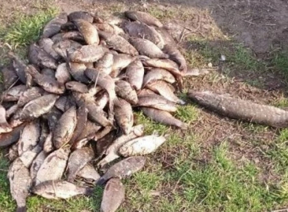 На Київщині рибалка спіймав риби на 200 тисяч гривень: які наслідки