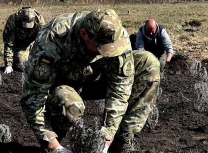 В Ірпені висадили лавандову галявину памʼяті загиблих мешканців