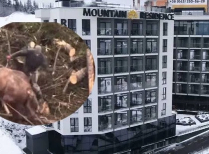 Mountain Residence у центрі скандалу:  у Буковелі працівник побив коня палицею