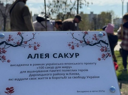 У Києві висадили 20 сакур: новий символ надії та миру