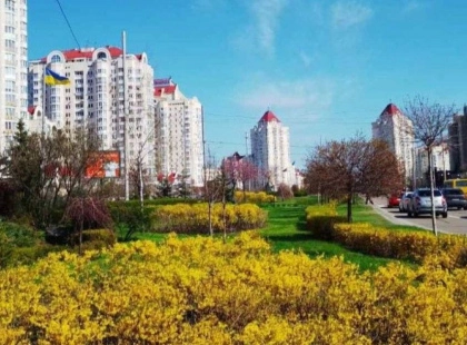 Понад півтори тисячі кущів і дерев для озеленення Оболоні