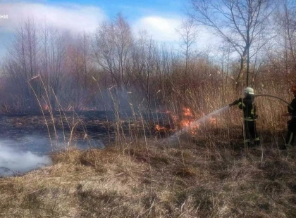 Спалювання трави на Київщині призвело до двох смертельних випадків