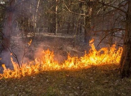 Пожежа біля озера Тягле в Києві: горіли гектари трави та очерету