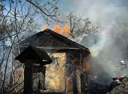 Пожежа через спалювання трави на Обухівщині: загинули 8 тварин