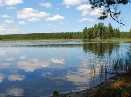 Тіло чоловіка знайшли у водоймі на Київщині: моторошні подробиці