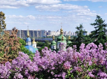 Бузкова казка у Києві: ботсад розквітнув неймовірними барвами