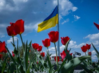 Весна розквітла у Бучі: тюльпани з Нідерландів прикрасили місто