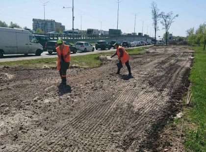 Столичне шосе у Києві перетворюють на квітучий луг: що змінюється