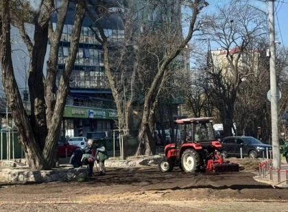 У Києві розквітне Столичне шосе: висадили луки та злаки