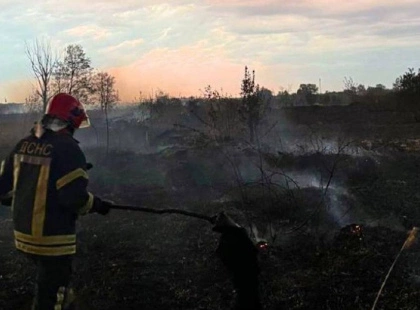 Під Обуховом згоріло 45 гектарів трави: пожежу ліквідували