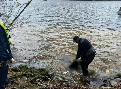 У Києві з Дніпра дістали тіло жінки: деталі трагедії біля острова Ольжин