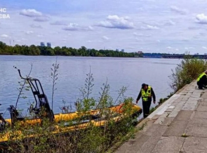 У Києві жінка впала з Пішохідного мосту і потонула: що відомо