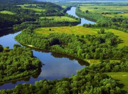 Гирло Прип’яті отримає статус водно-болотного угіддя міжнародного значення