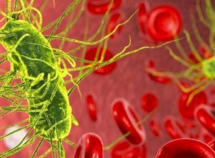 У Києві зафіксовано спалах кишкової інфекції в дитячому садку