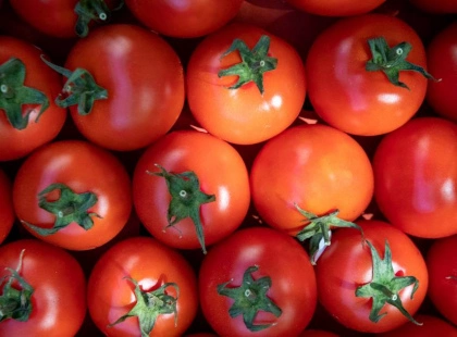 Сьогодні у Києві – фермерські ярмарки: де купити продукти вигідно