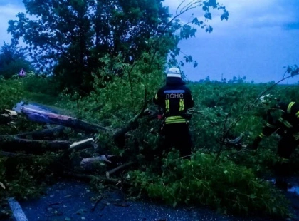 Буревій на Київщині: рятувальники з Білої Церкви рятували дороги