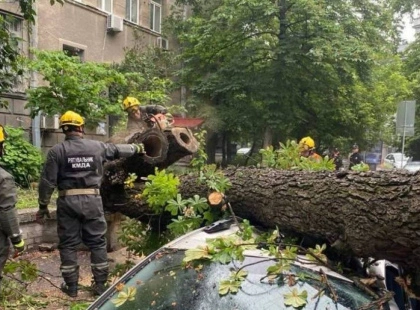 Негода в Києві: дерева попадали на автомобілі та майно