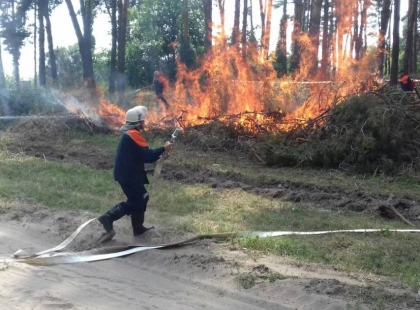 Нові заходи ДСНС: на Київщині збільшать кількість резервних команд для боротьби з лісовими пожежами