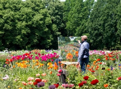 500 сортів ірисів зацвіли в ботанічному саду Києва: що варто побачити?