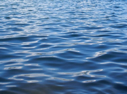 Очищення озера в Бучі: як місто покращує якість води біля парку