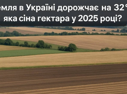 Земля в Україні дорожчає на 32%: яка ціна гектару у 2025 році?