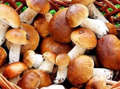 Як маринувати гриби з болгарським перцем, щоб здивувати гостей