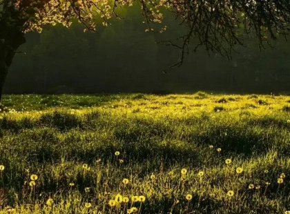 Україну накриє аномальна спека до +39°C: коли чекати злив у Києві?
