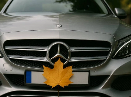 Штраф за креатив: у Борисполі водій Mercedes закрив номер листком з дерева