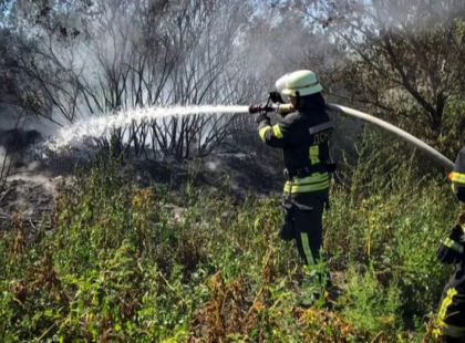 На Київщині за добу зафіксували 26 пожеж в екосистемах