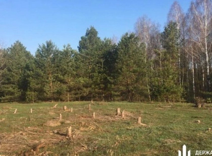 На Київщині інженер «Лісів України» допустив незаконну вирубку дерев на 1,1 млн грн