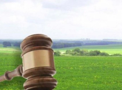 Прокуратура викрила схему з землею на Київщині: 40 гектарів повернули громаді