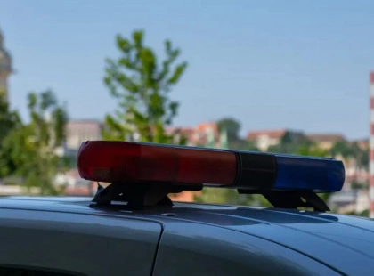 У Білій Церкві підлітки знущалися над їжаком: поліція розшукує винних