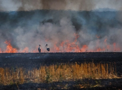 Поліція Київщини нагадує про заборону спалювання сухої трави та сміття