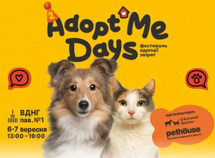 Фестиваль AdoptMe Days святкує другий рік: шукаємо дім для котиків і песиків