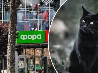 В Ірпені керуюча «Фори» задушила кота, що пережив окупацію — справа набирає розголосу