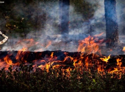 ДСНС: масштабні займання на Київщині ліквідовують десятки разів на добу