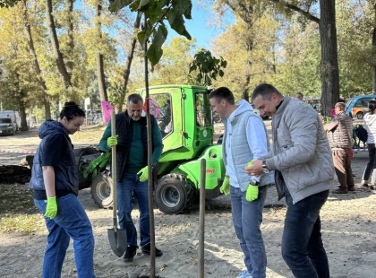 Зелений апґрейд столиці: на Долобецькому острові висадили майже півсотні катальп