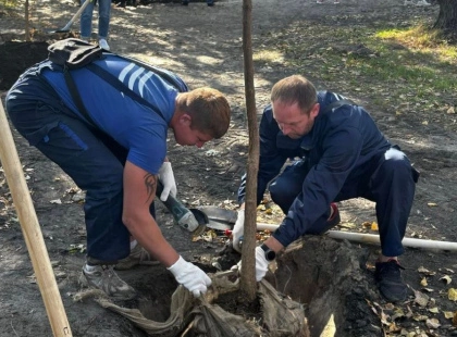 На Долобецькому острові висадили 44 катальпи: нова зелена алея для киян
