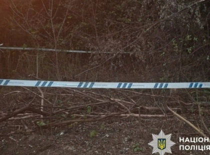 Вибухотехніки ліквідували бойову частину ворожого безпілотника в Києві