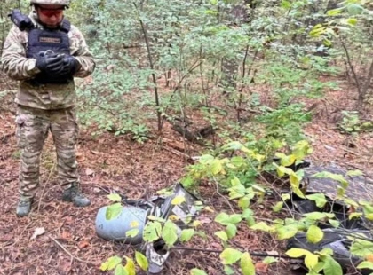 Небезпека просто в лісі: у Києві знайшли нездетонований дрон із вибухівкою