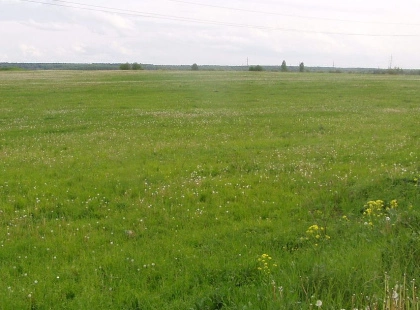 На Київщині затримали аферистів, які незаконно продали чужу ділянку через фіктивний договір