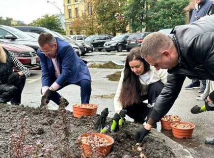 Тюльпани дипломатії: біля МЗС висадили 300 голландських квітів на знак солідарності з Україною