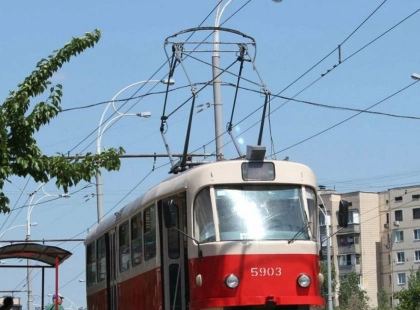 Дерево впало на трамвайну лінію на Лісовій трасі: рух призупинено, запустили автобуси