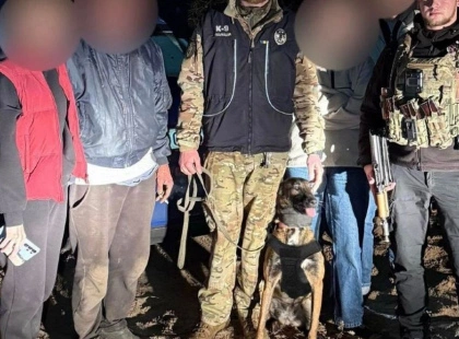 На Київщині собаки-поліцейські знайшли двох літніх грибників, що заблукали